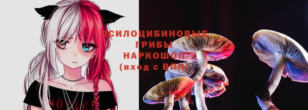 тгк Белокуриха