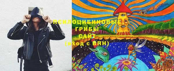 тгк Белокуриха